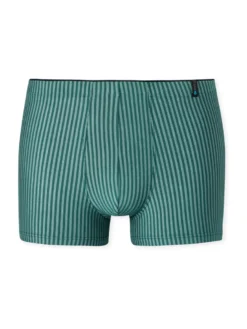 Schiesser Hipster Unterhose Unterwäsche Panty Long Life Soft Linde 7