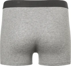 Camano Boxershorts Comfort Mit Nachhaltigerer Baumwolle (BCI) 2er Pack Light Grey Melange 2XL -Günstiges Mode Wucht Geschäft b4b5b94c309e23ec1d6fa45be6002361